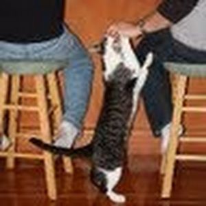 Meet your Posher, Mark